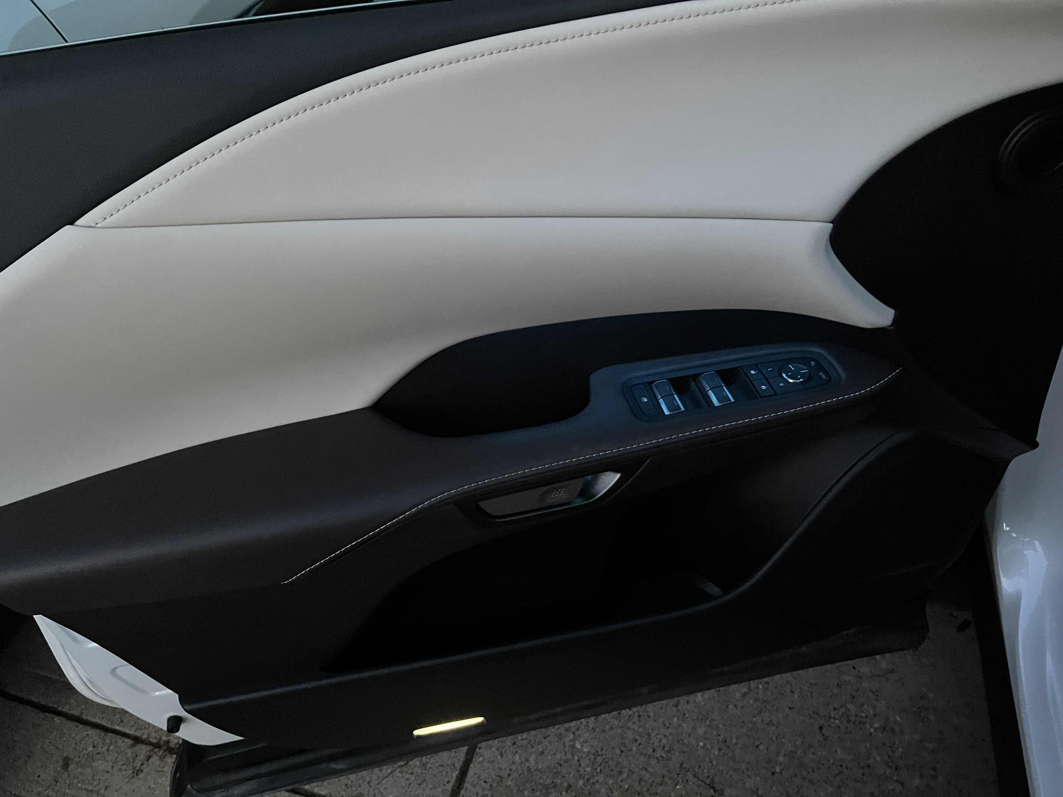 Door panel detail - Lexus RX