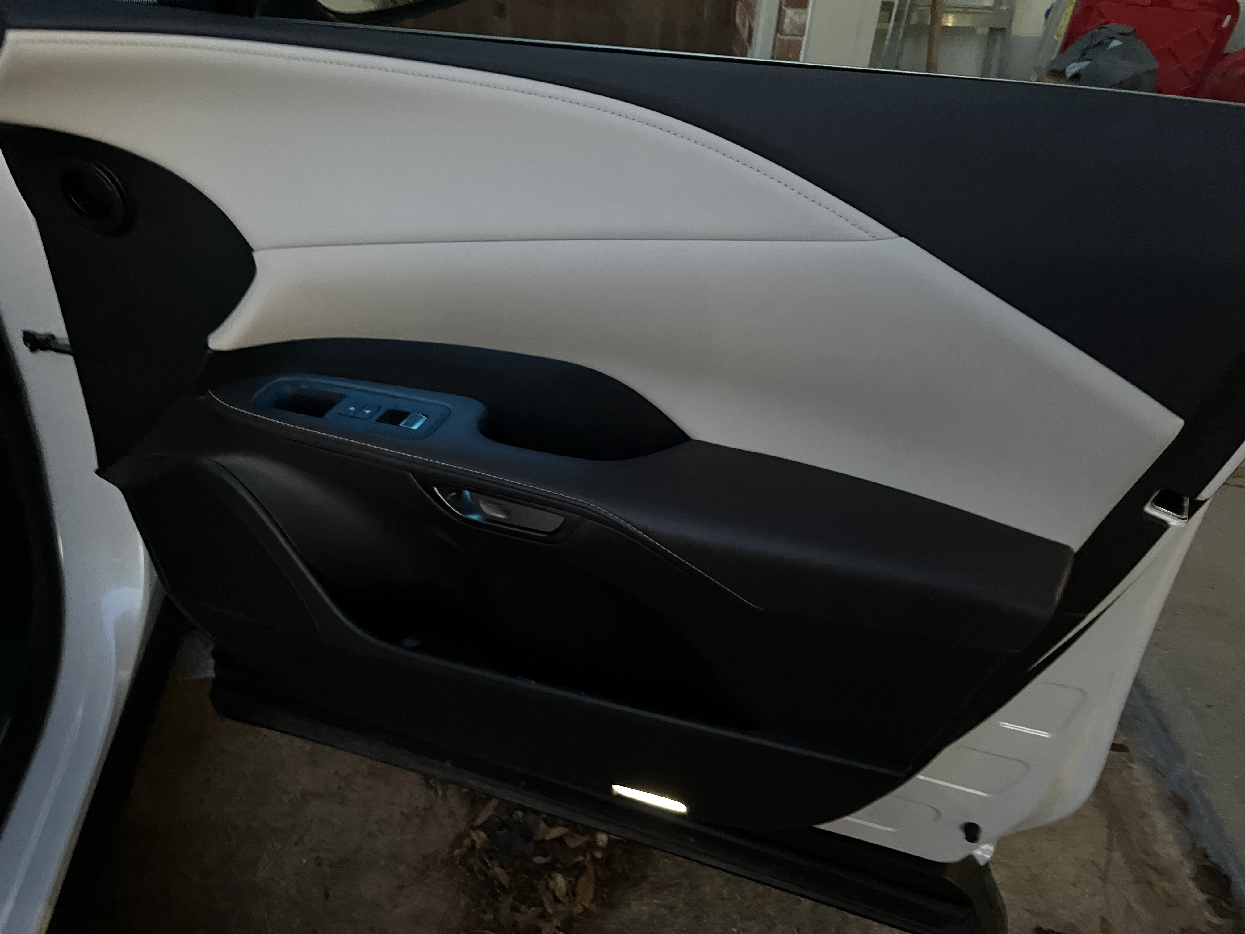 Door panel close up - Lexus RX